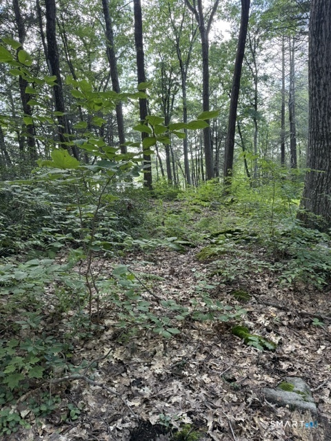 Spectacle Ridge Road Property Photo 6