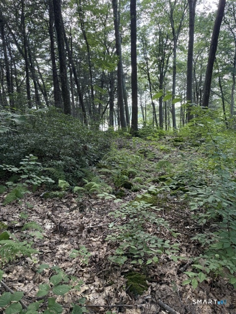 Spectacle Ridge Road Property Photo 7