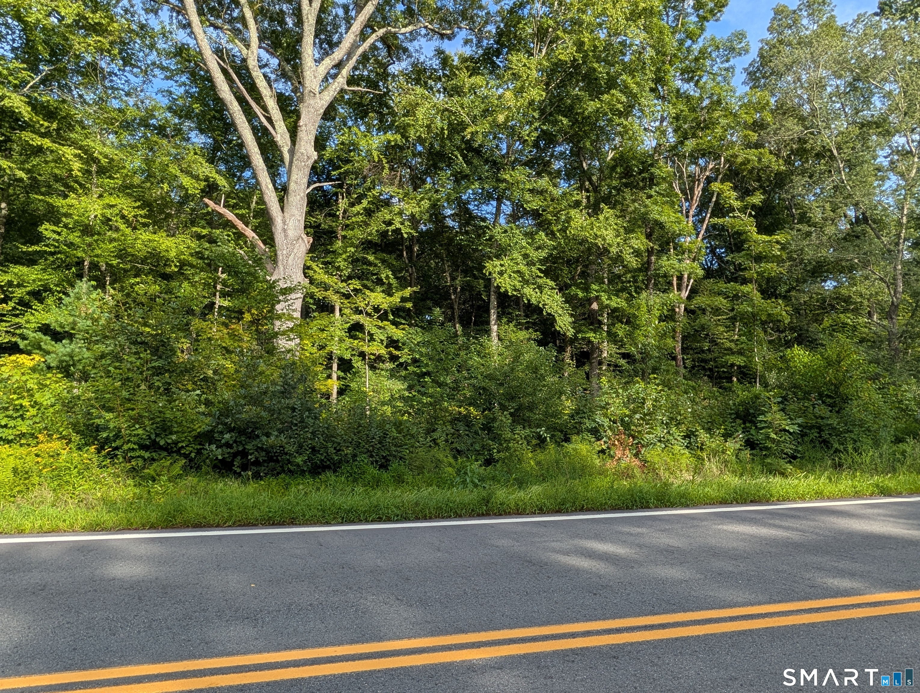 Pudding Hill Road Property Photo 3