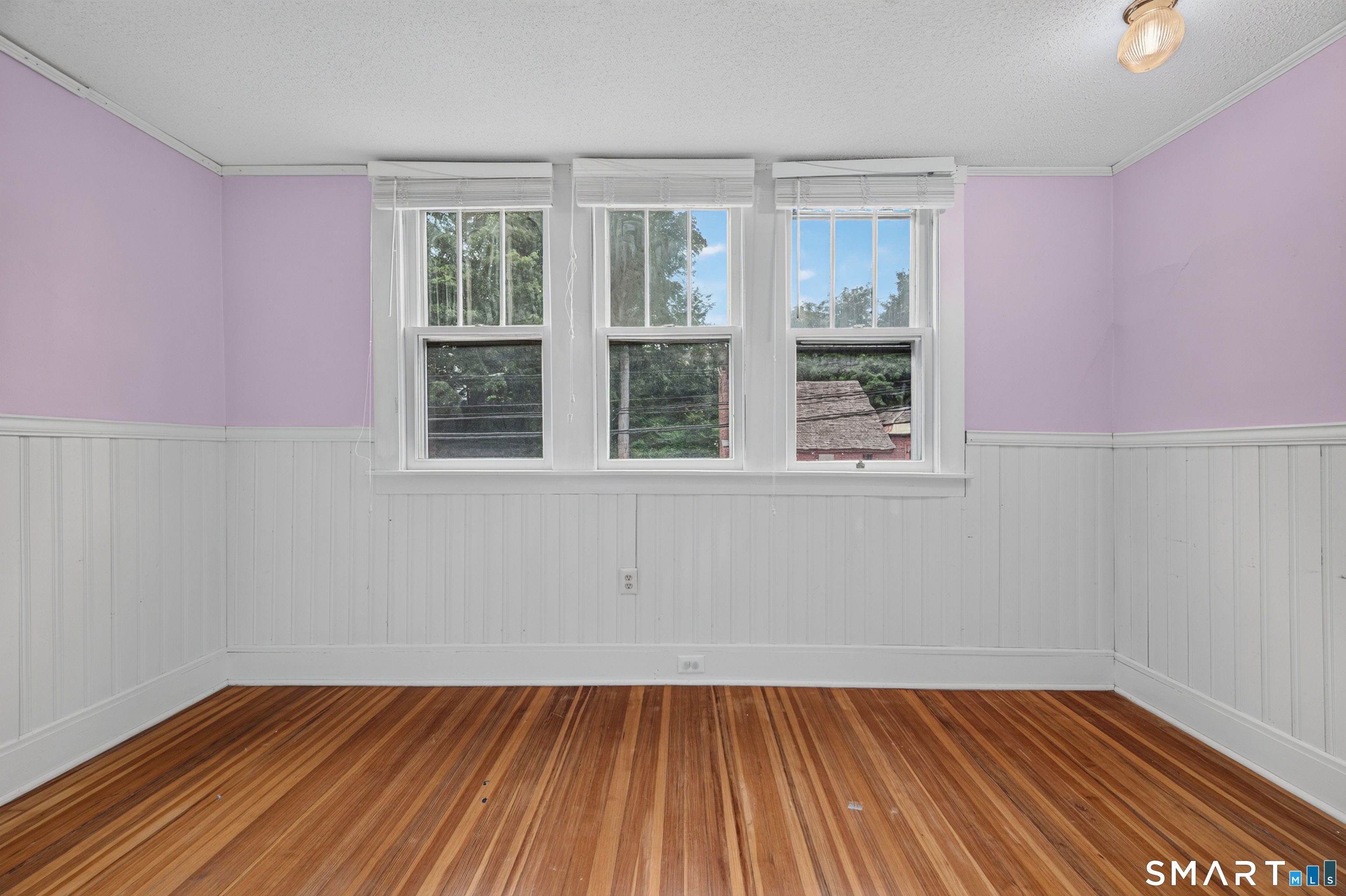19 Harland Road Property Photo 29