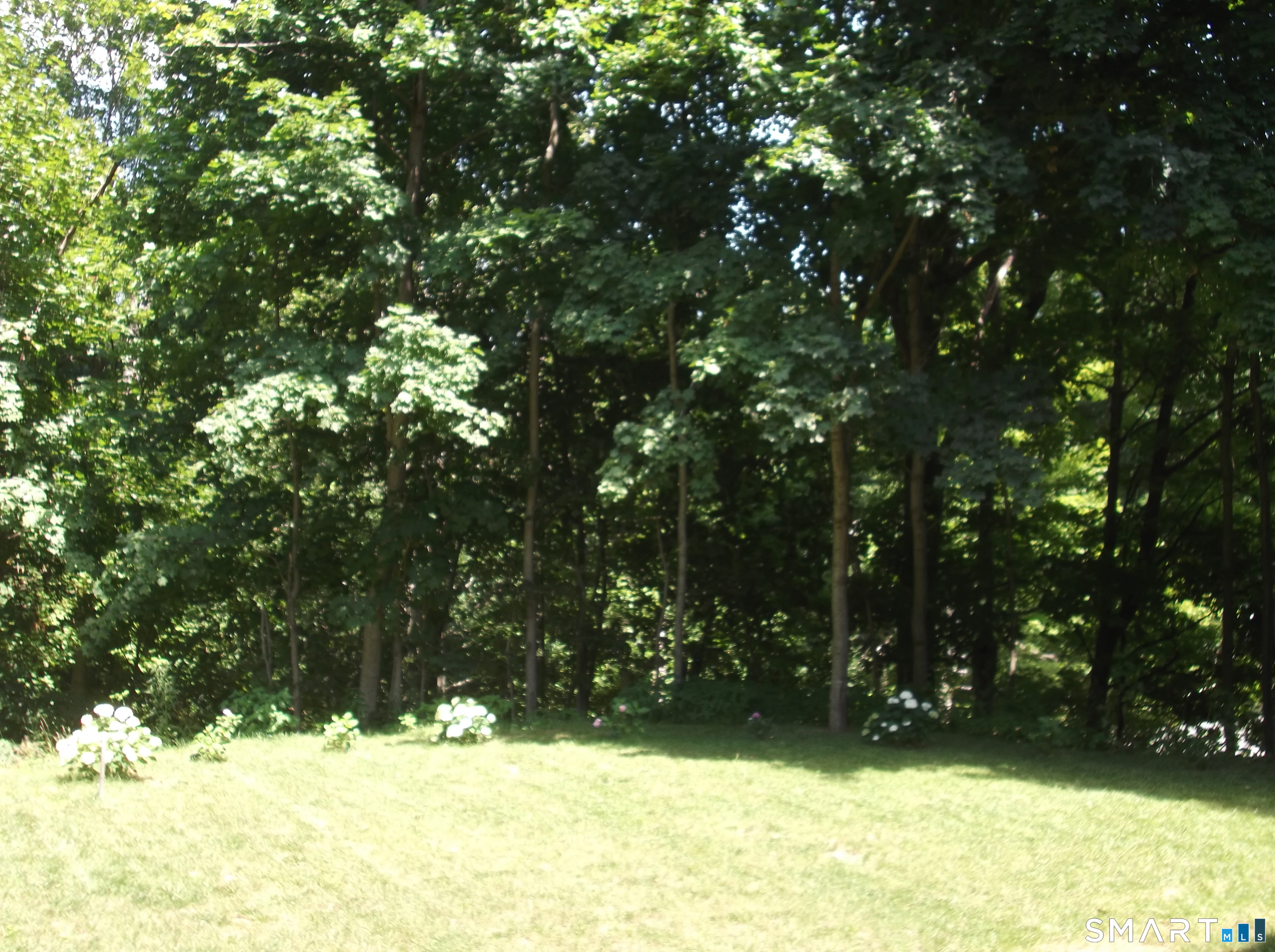 14 Bank Street Property Photo 19