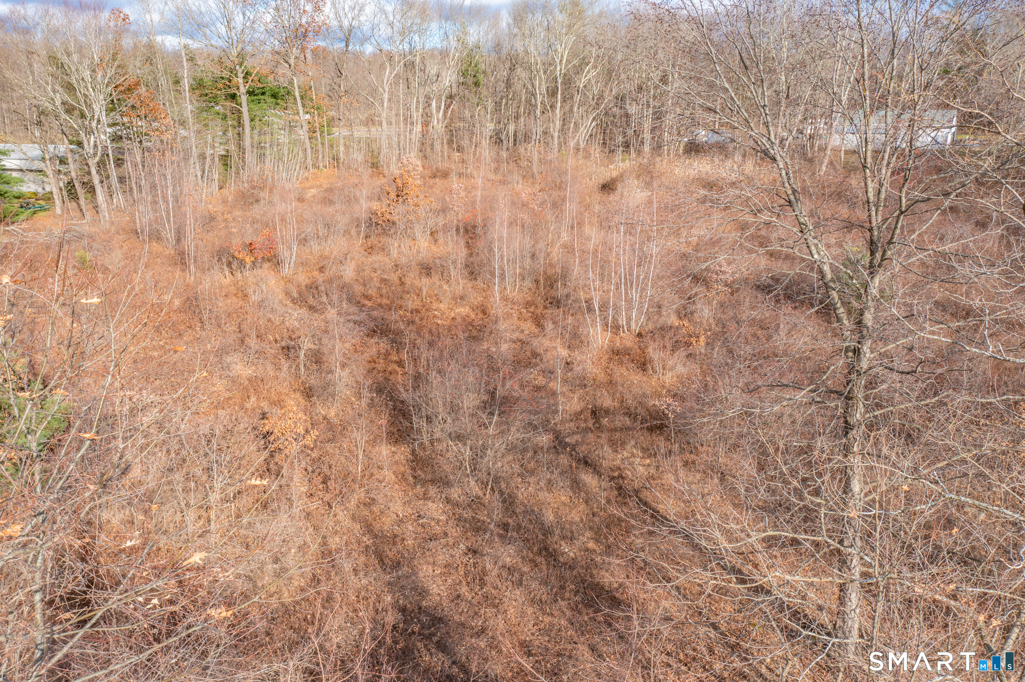 317 Merrow Road Property Photo 13