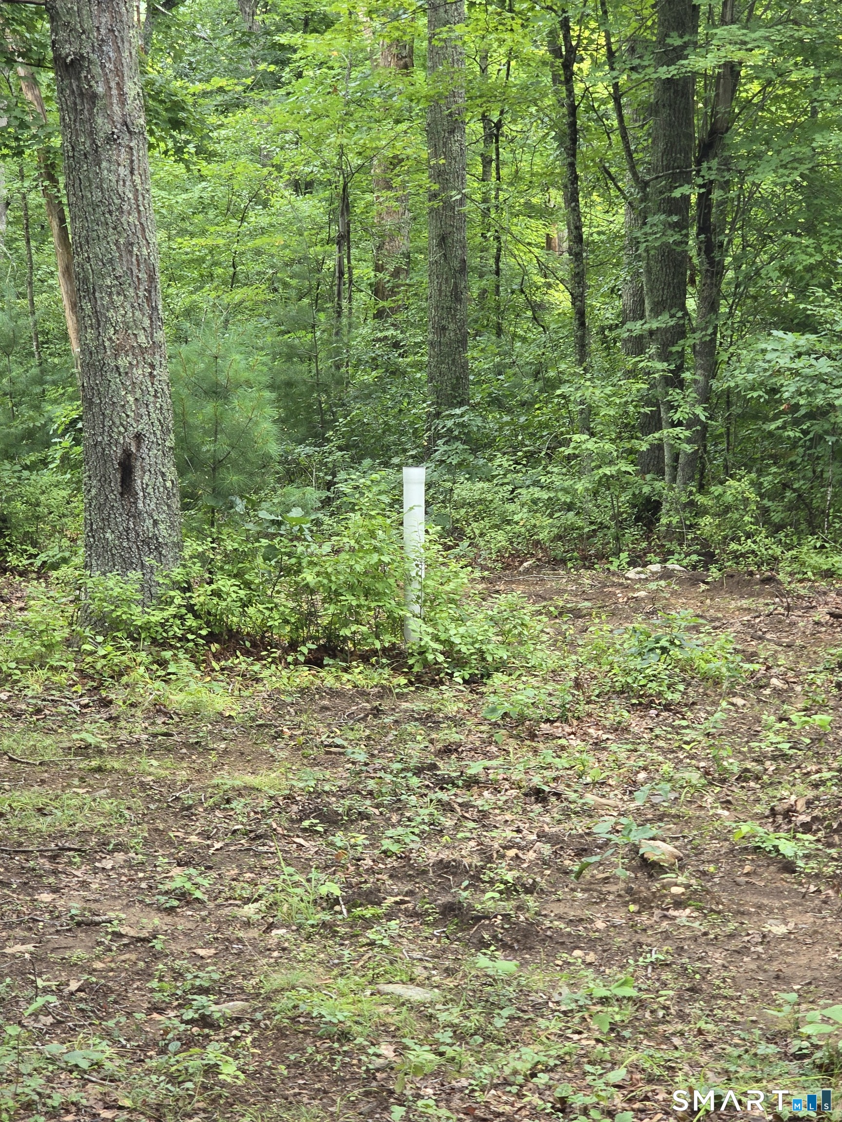 30 Blackledge Drive Property Photo 3