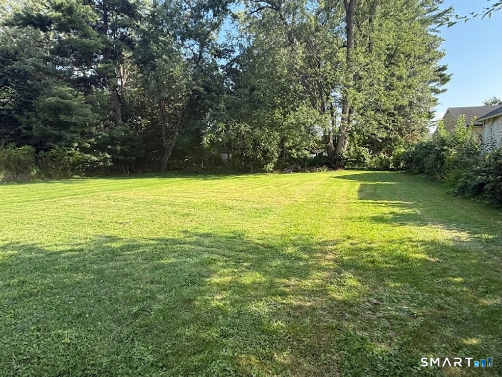 99 Seymour Avenue Property Photo 14