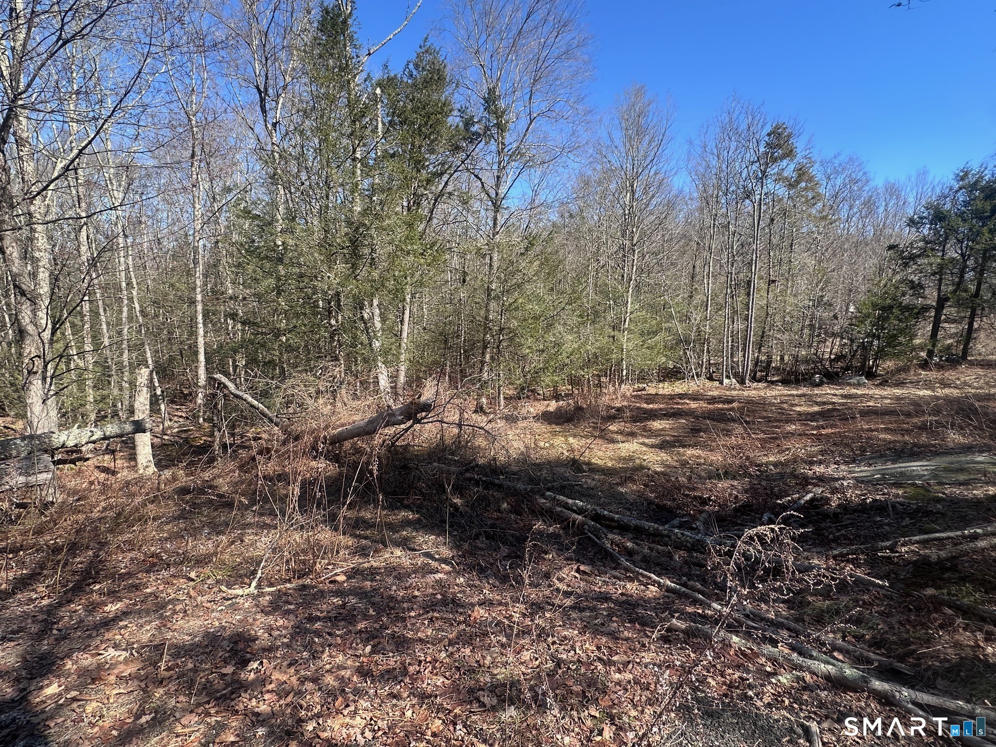 302 Gillette Road Property Photo 5