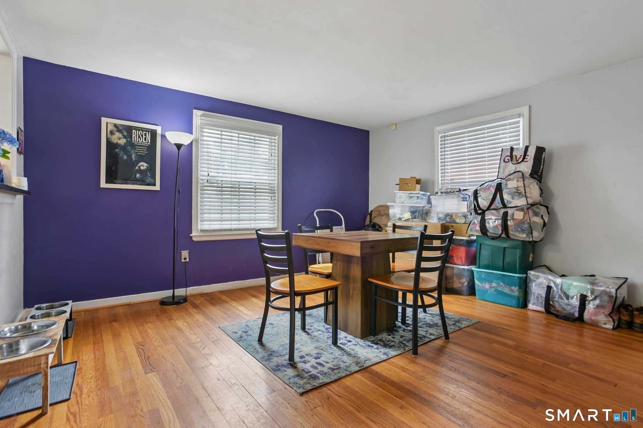 12 Windsor Road Property Photo 5