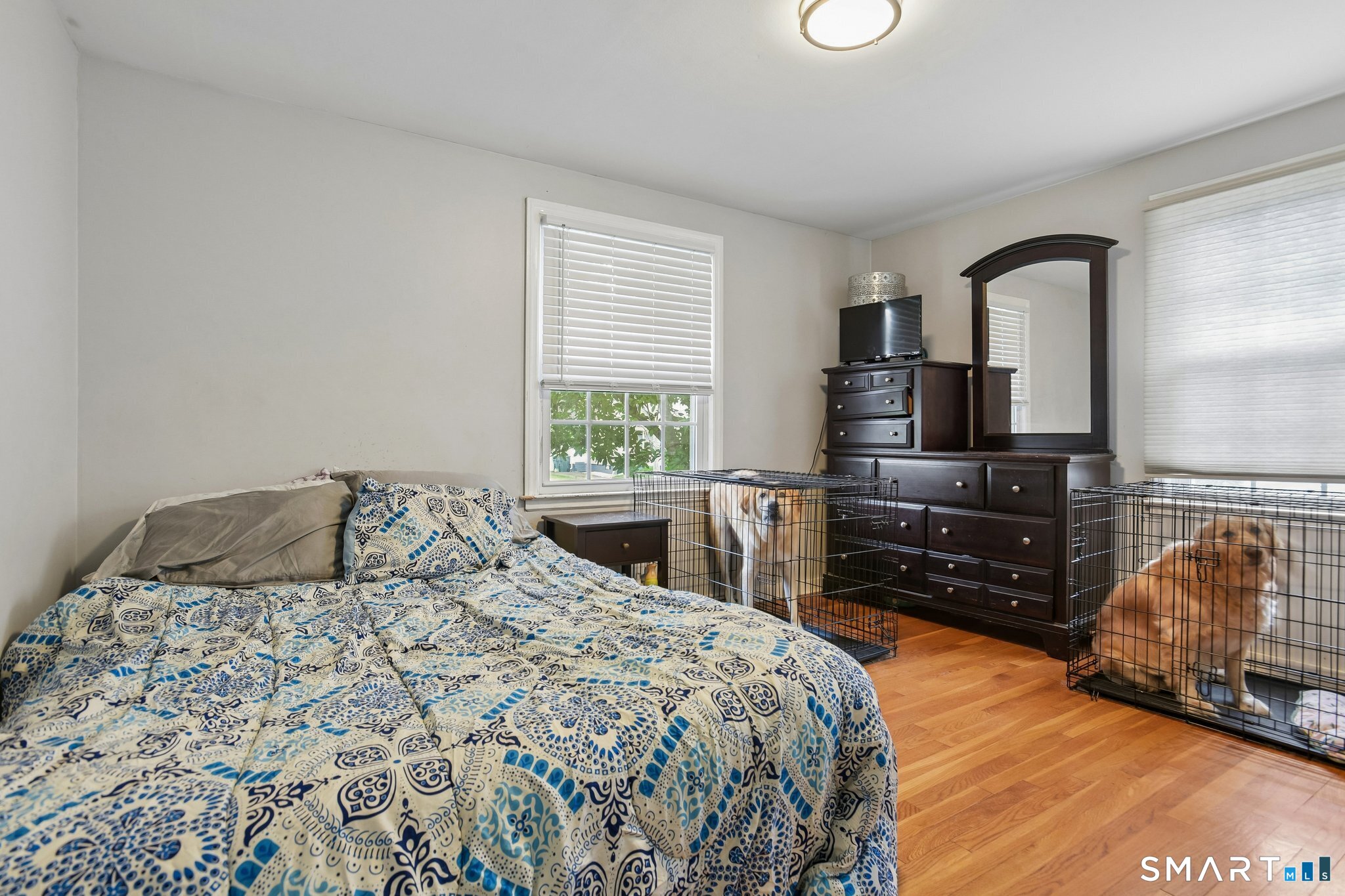 12 Windsor Road Property Photo 10