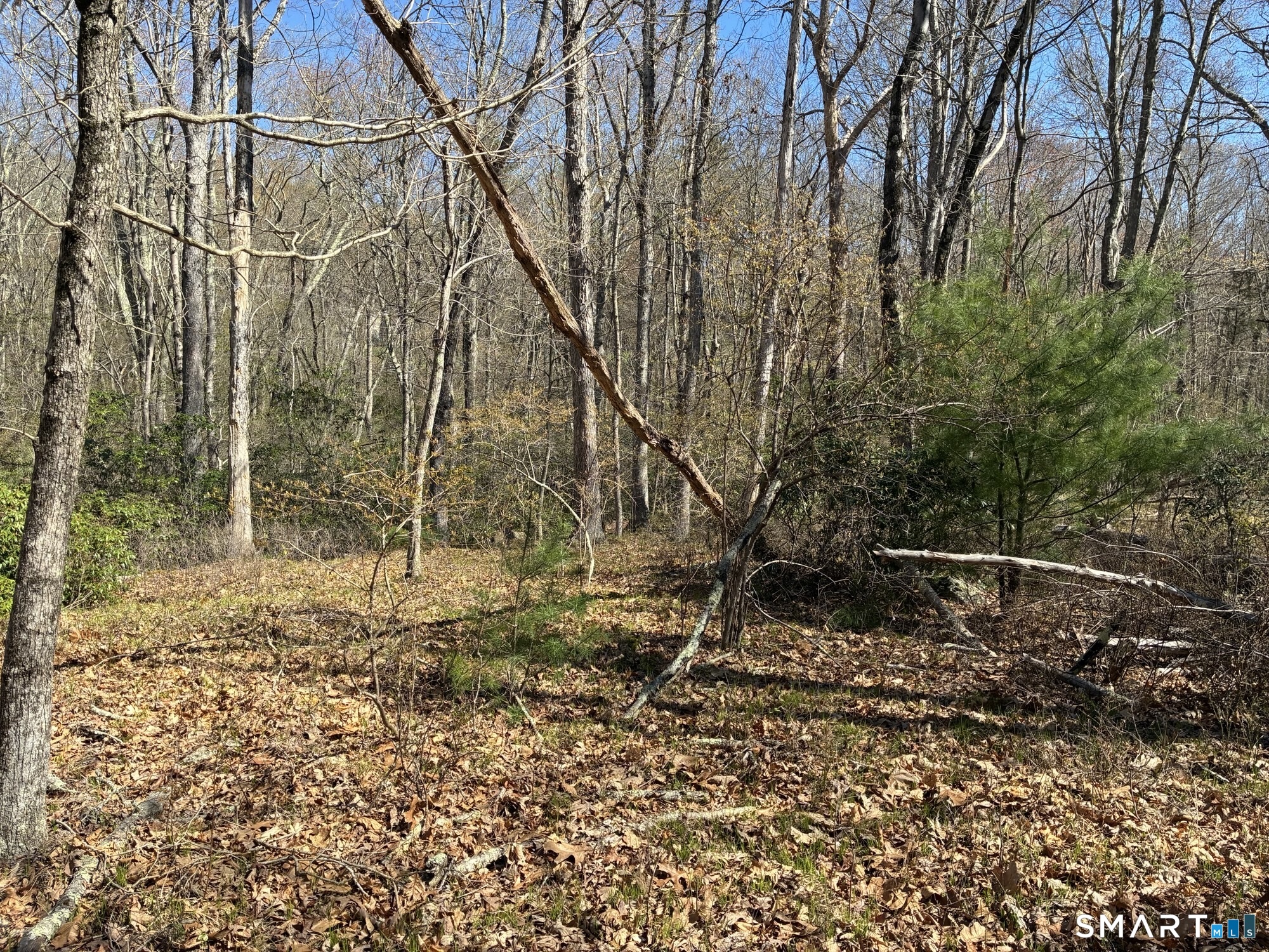 Madison Road Property Photo 2