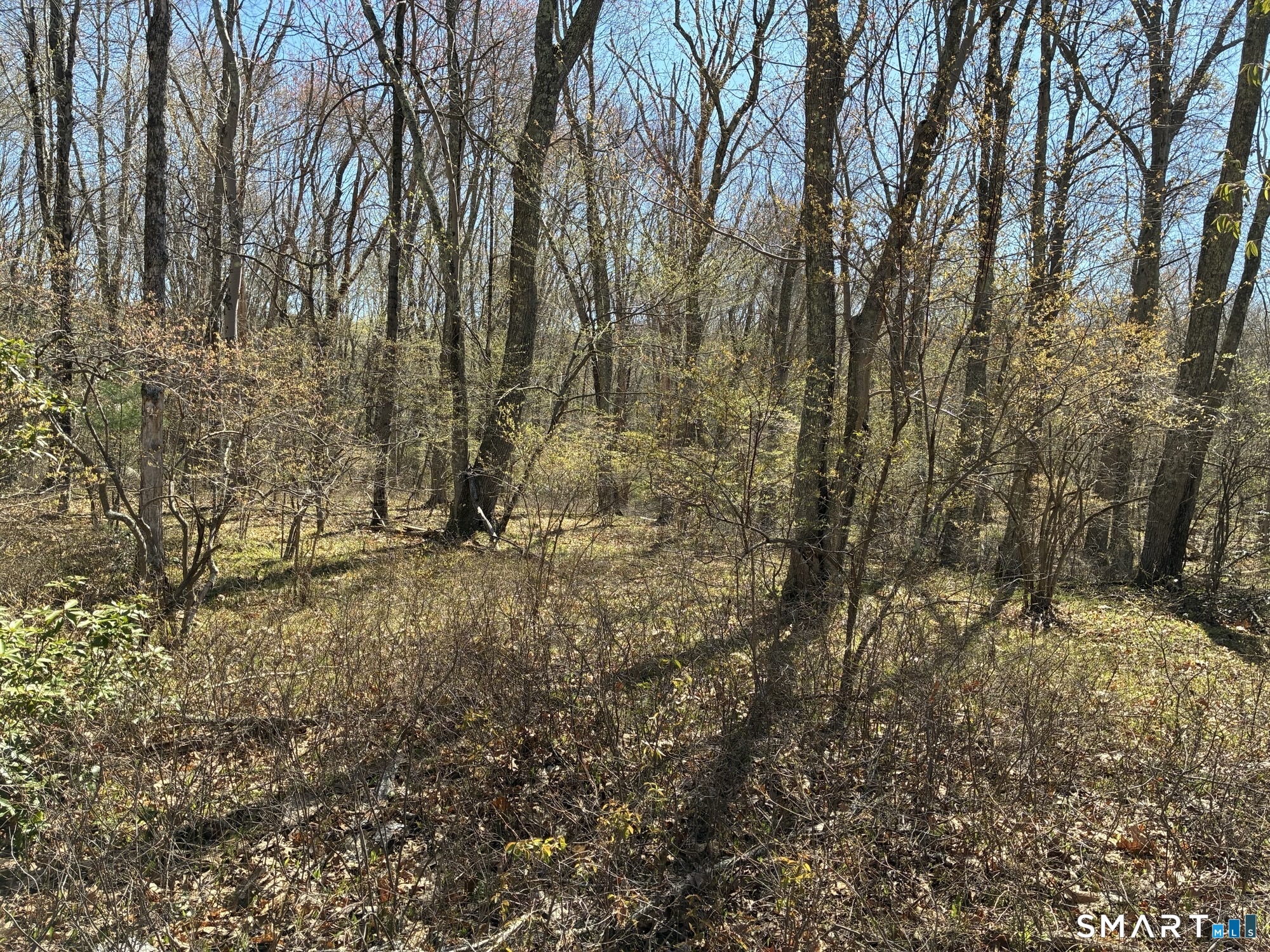 Madison Road Property Photo 3
