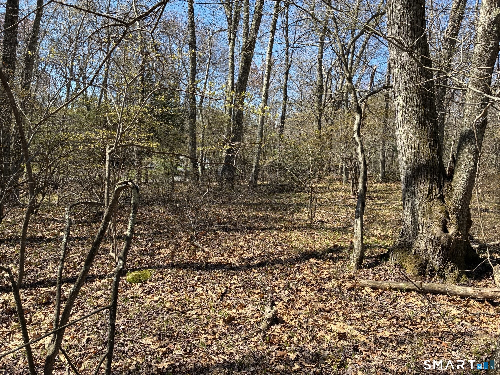 Madison Road Property Photo 5