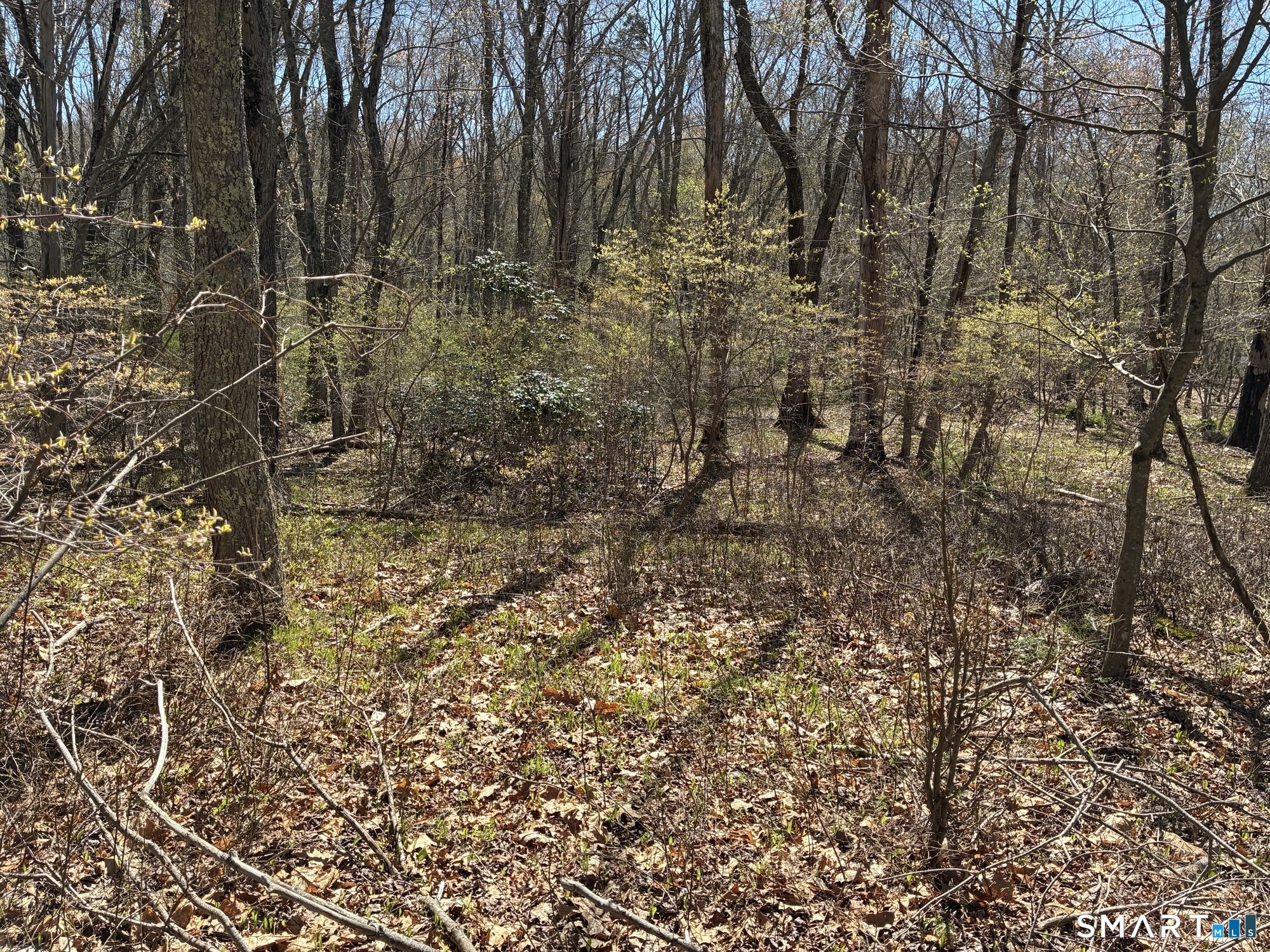 Madison Road Property Photo 6