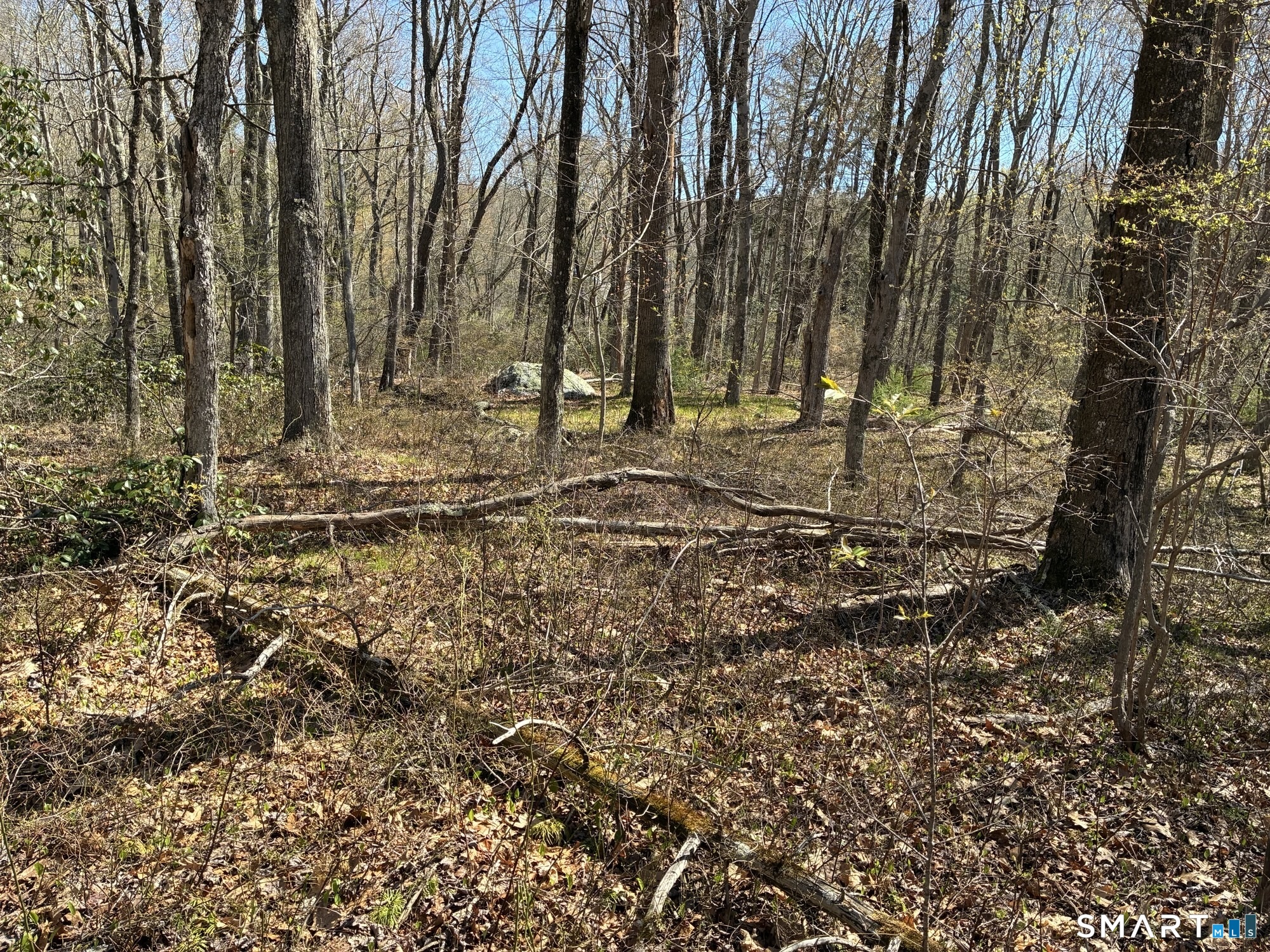 Madison Road Property Photo 7
