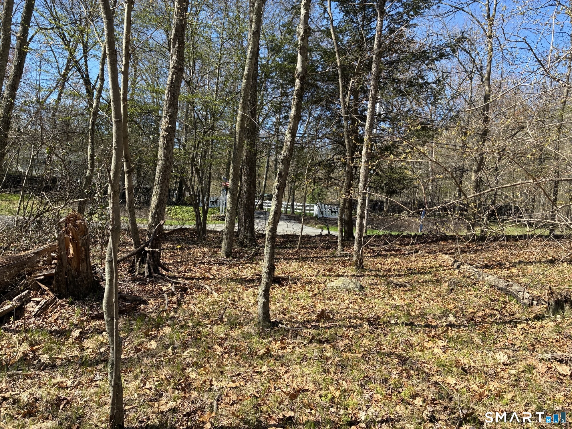 Madison Road Property Photo 9