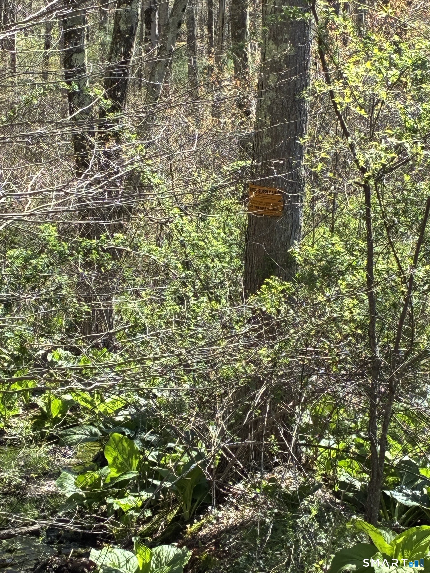 Madison Road Property Photo 12
