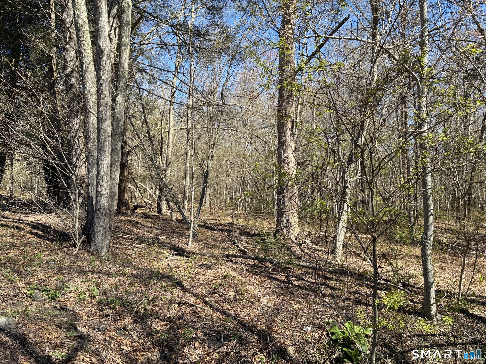 Madison Road Property Photo 13