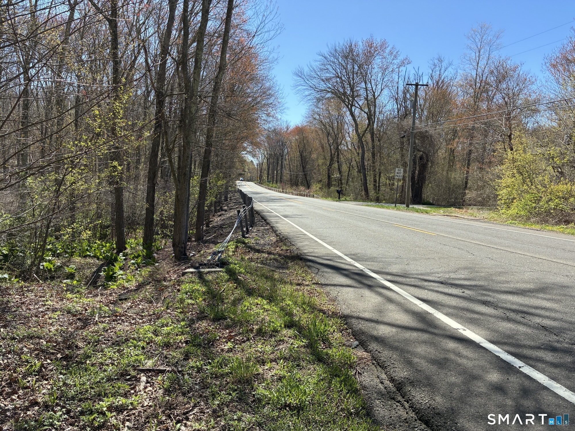 Madison Road Property Photo 15