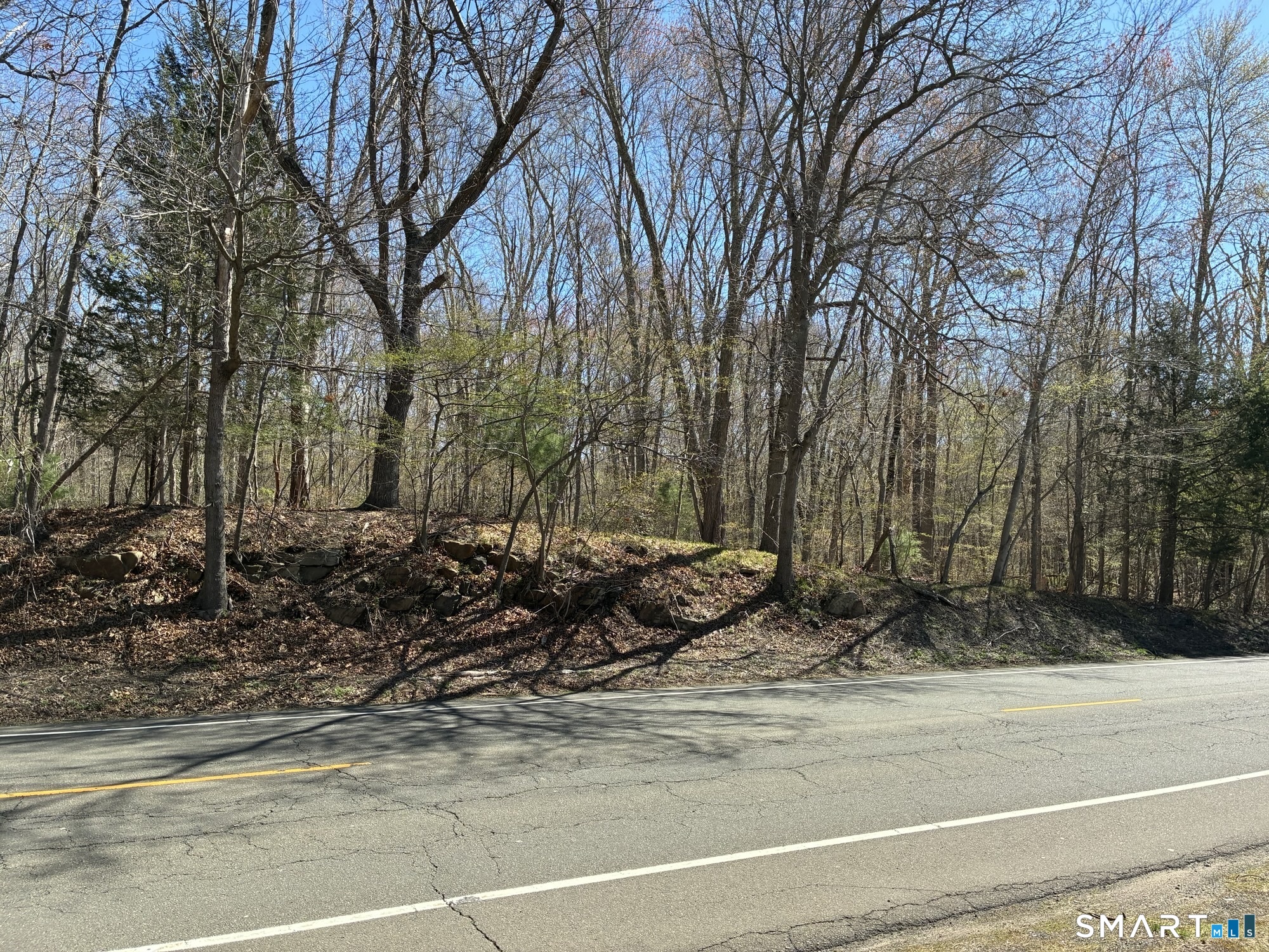 Madison Road Property Photo 16