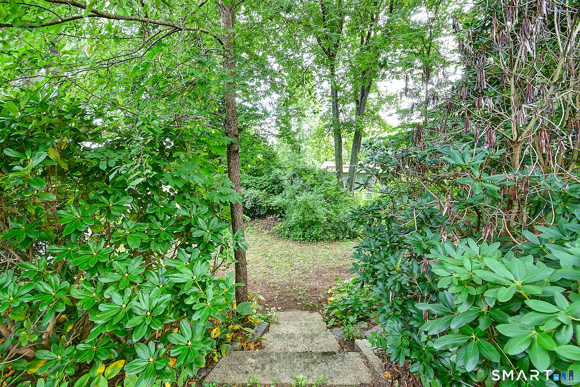 349 Mansfield Avenue Property Photo 10
