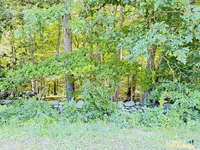 Beaver Dam Road Property Photo 1