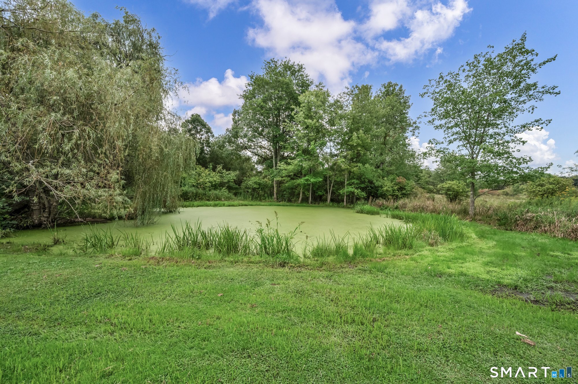 1105 Northrop Road Property Photo 29