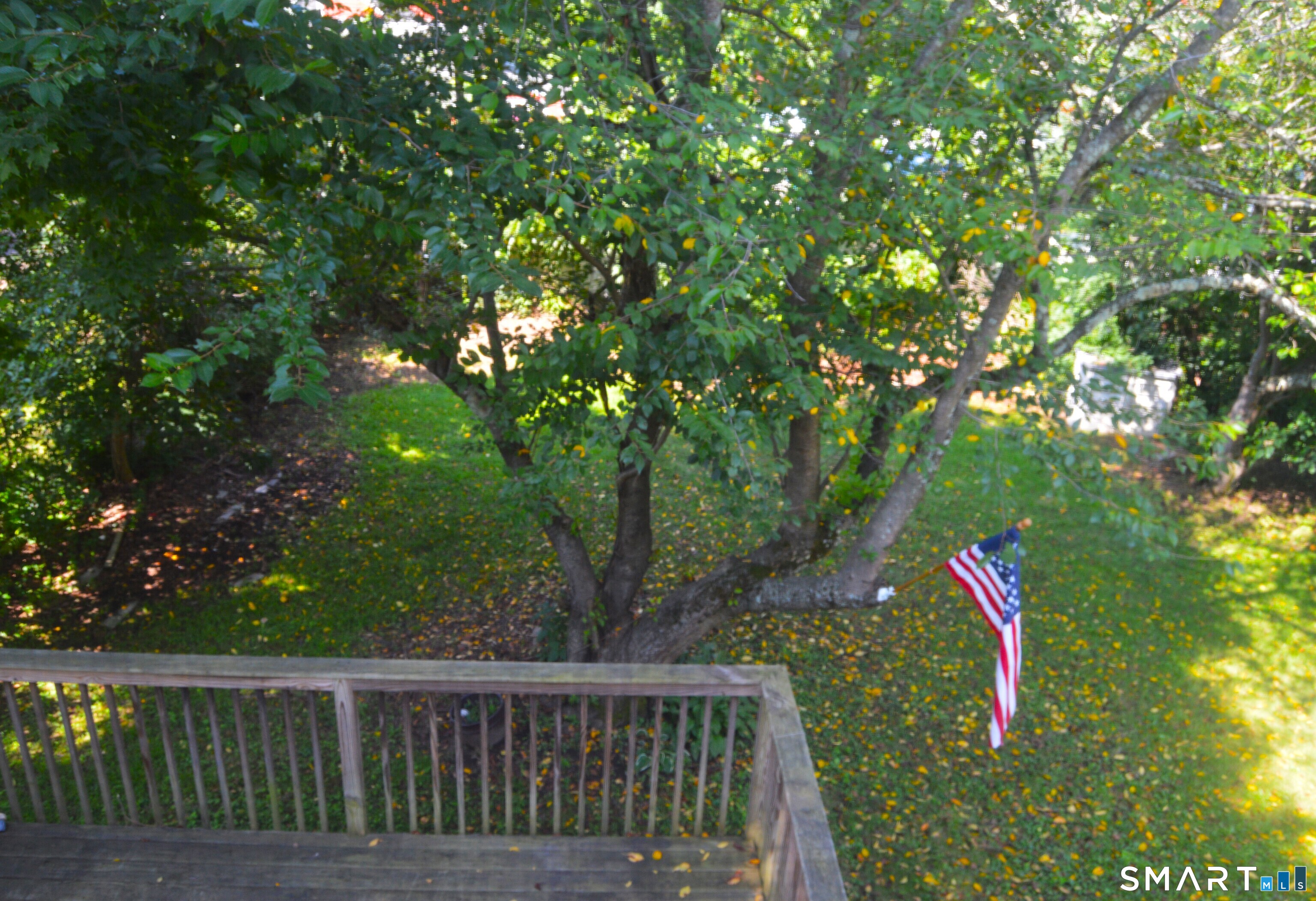7 Roseleah Avenue Property Photo 27