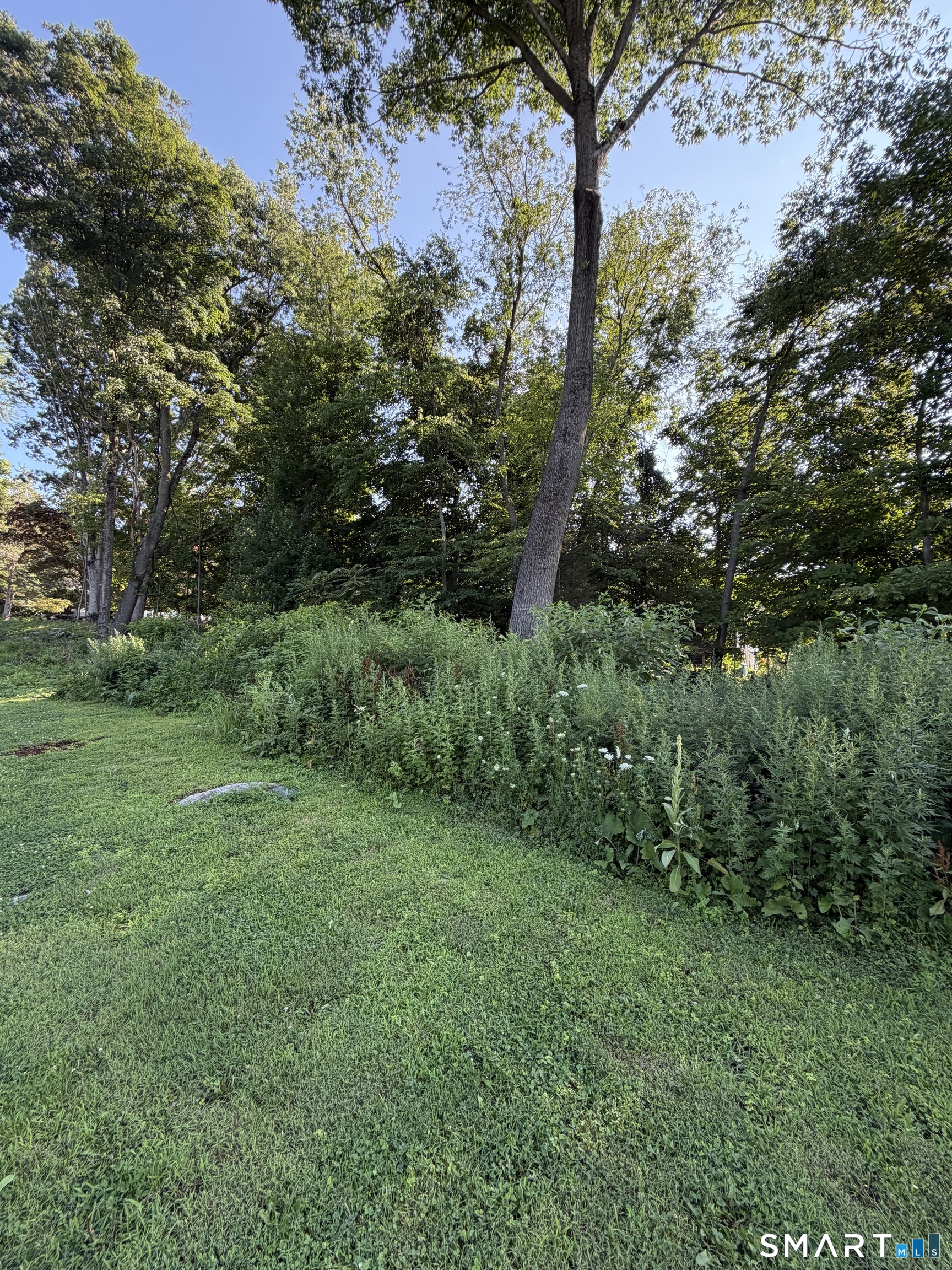58 Taagan Point Road Property Photo 3