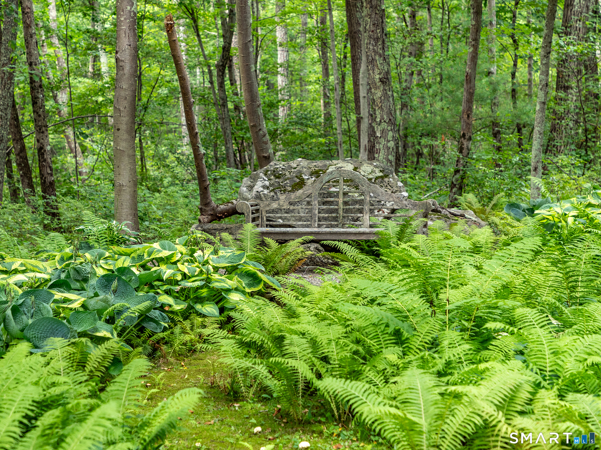 24201909 Property Photo 35