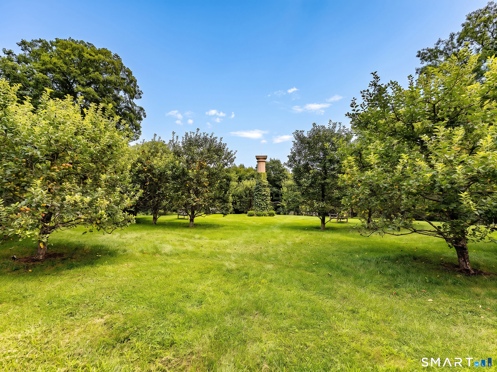 24201971 Property Photo 13