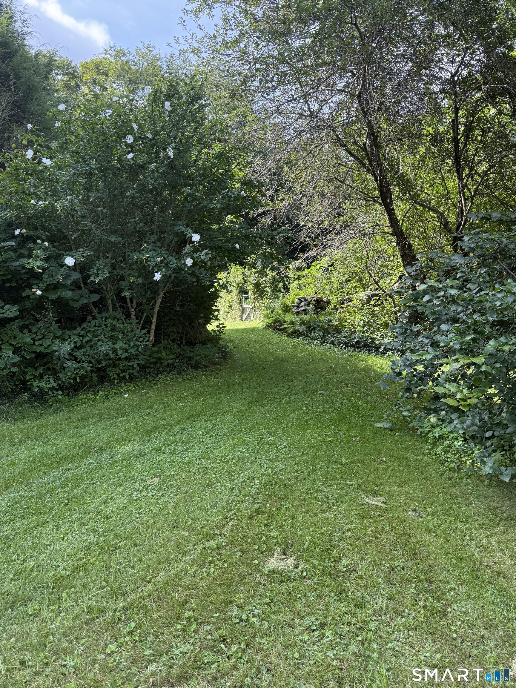 37 Main Street Property Photo 23