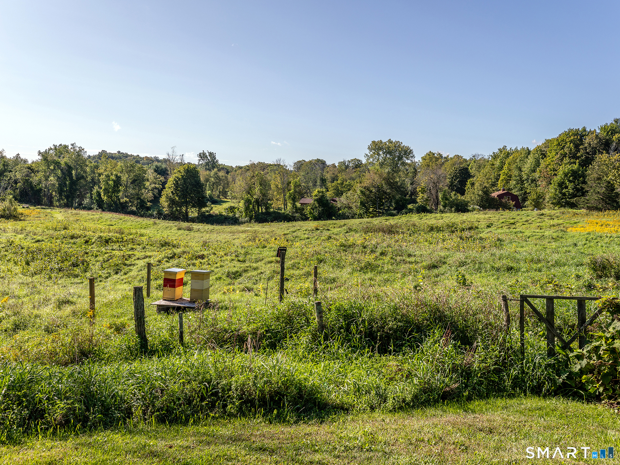 547 Under Mountain Road Property Photo 29
