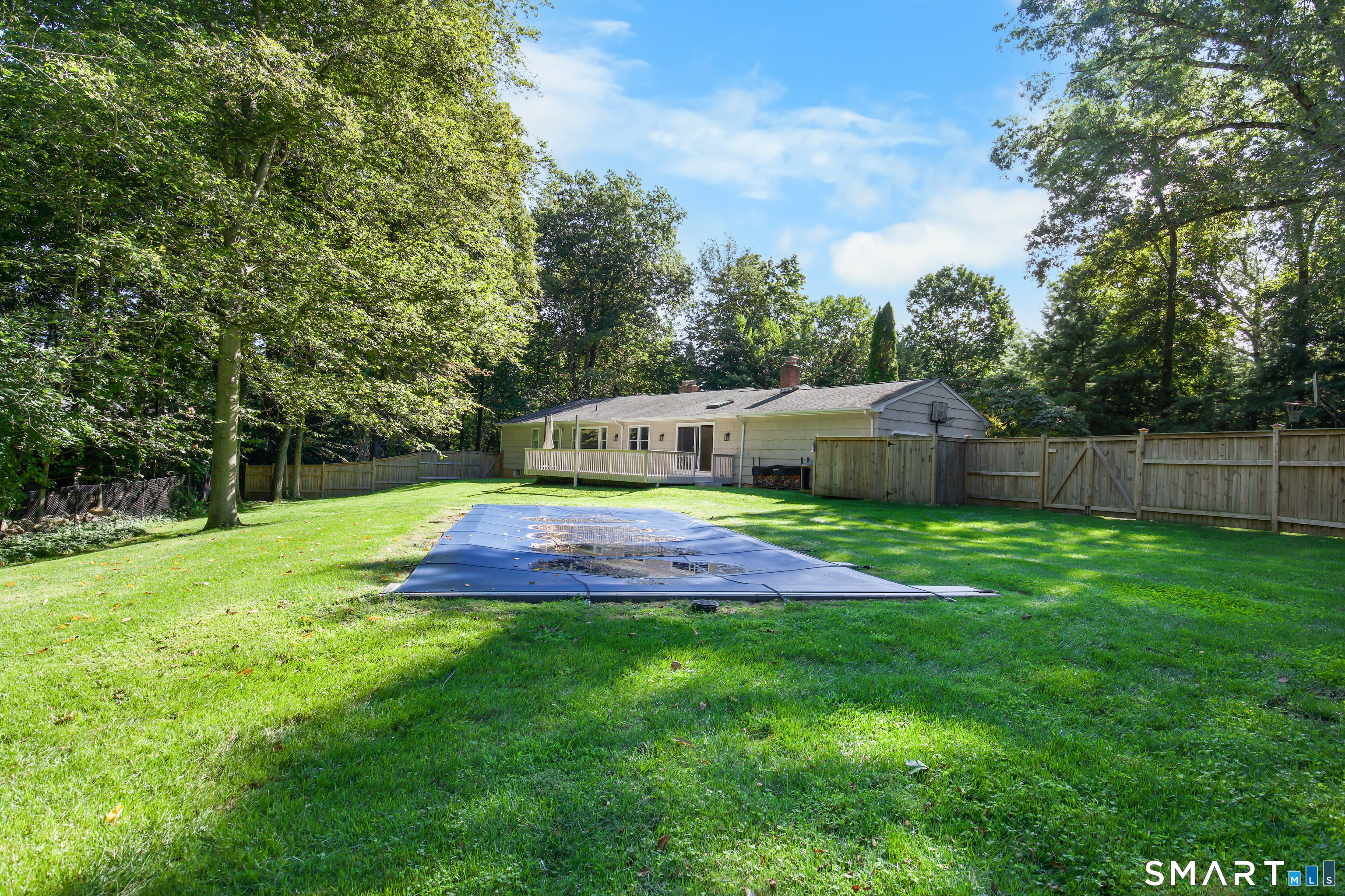 59 Colony Road Property Photo 26