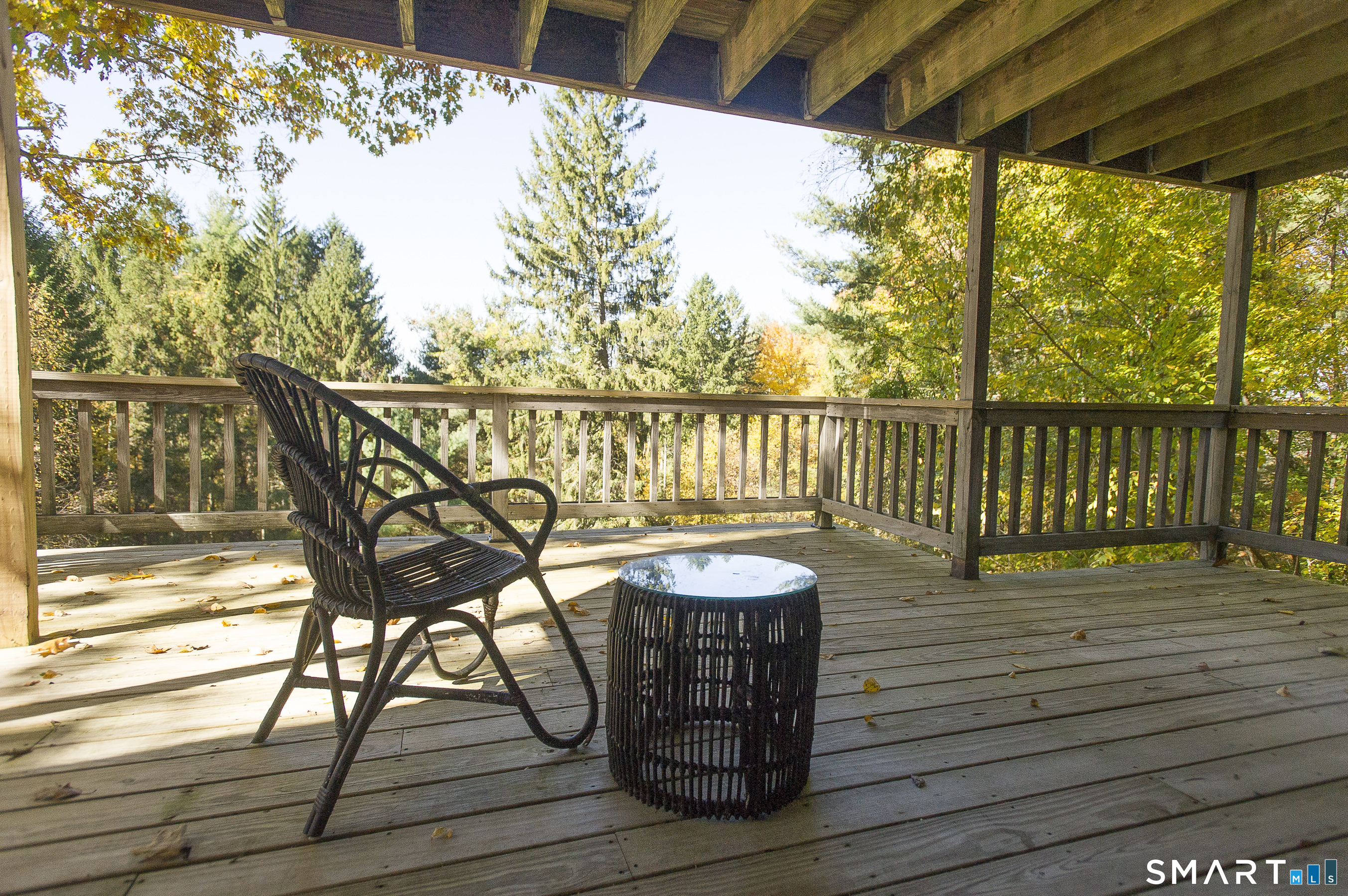 11 Gaffney Road Property Photo 32