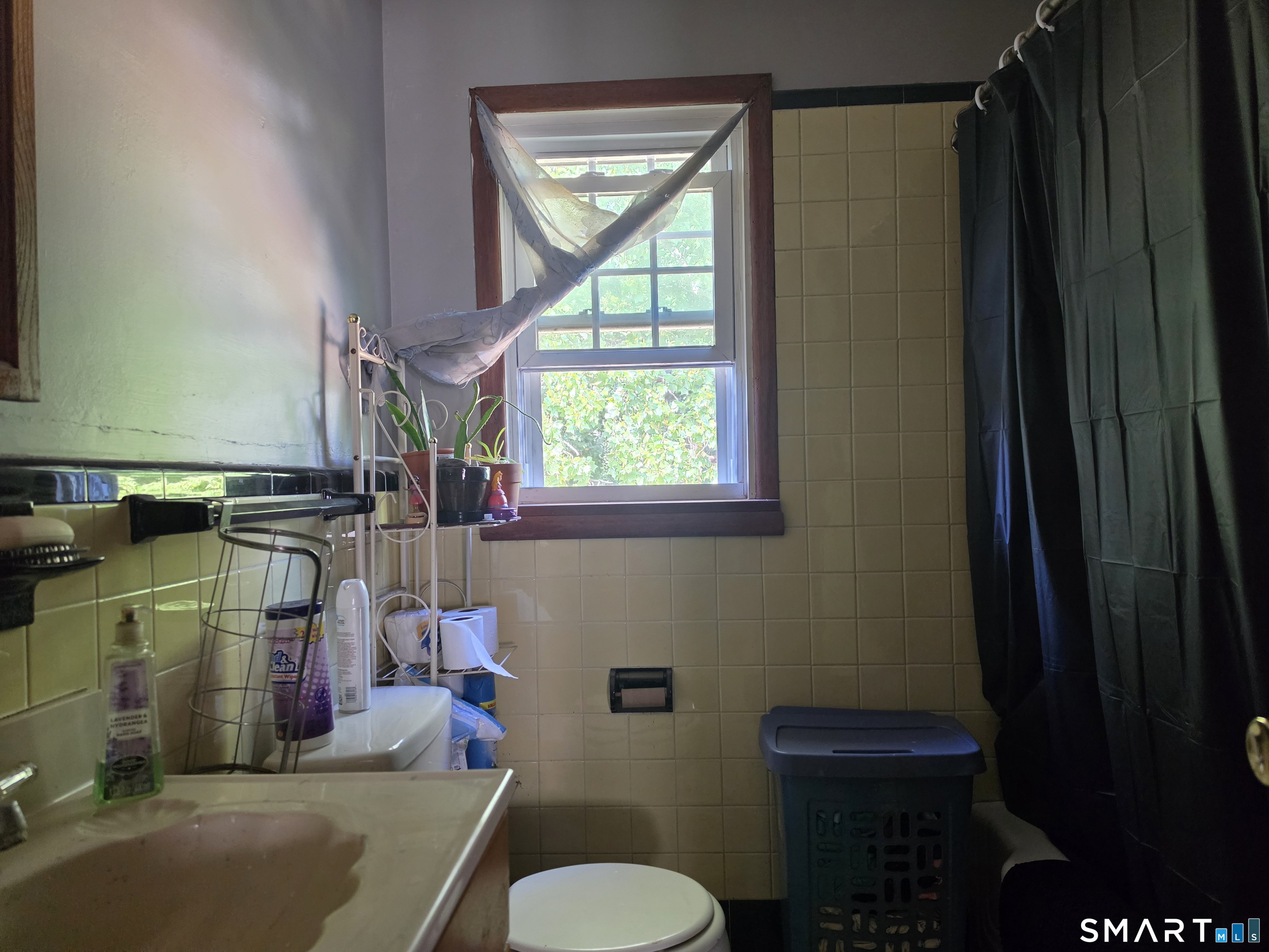 34 Elm Street Property Photo 13