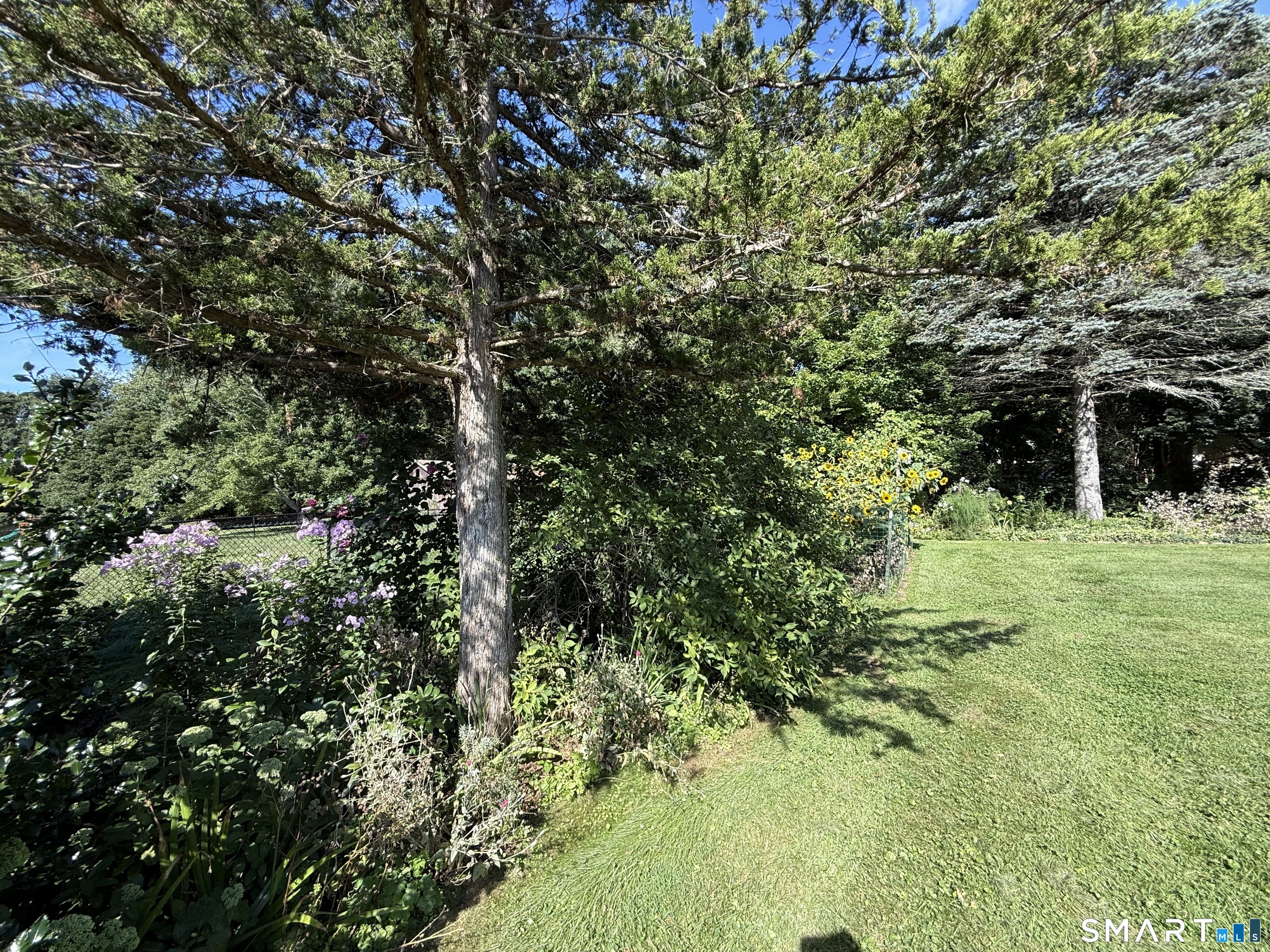 36 Gill Street Property Photo 19
