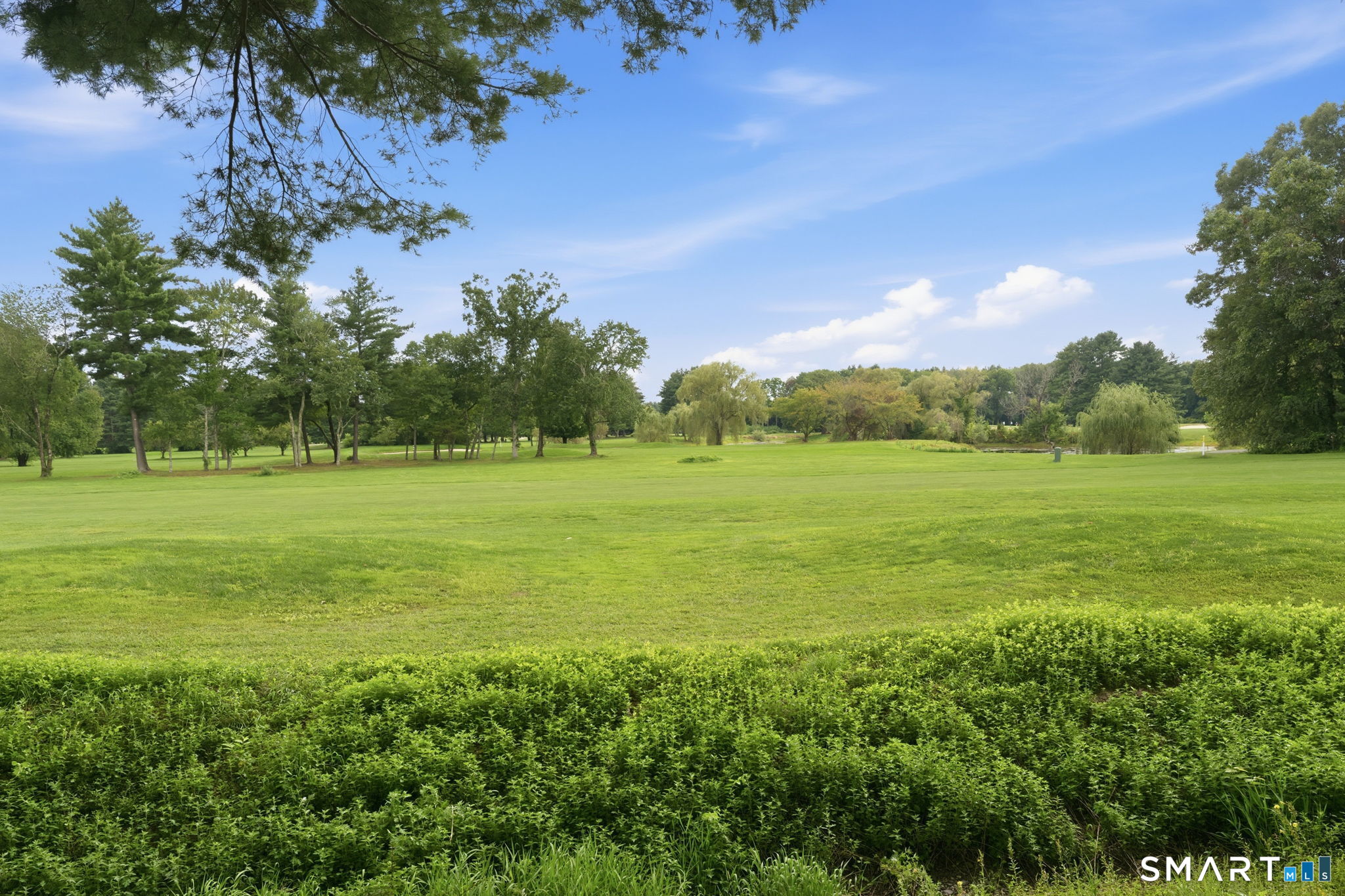 24202566 Property Photo 35