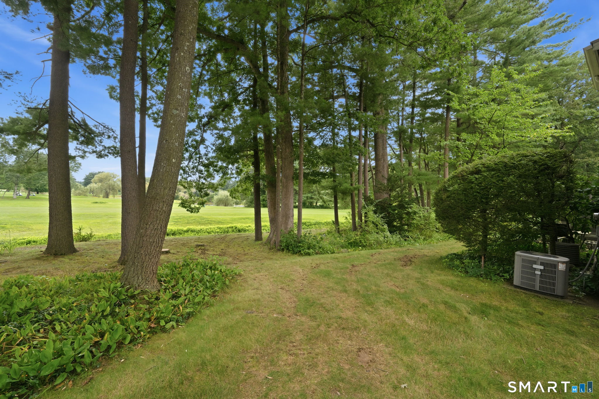 24202566 Property Photo 36