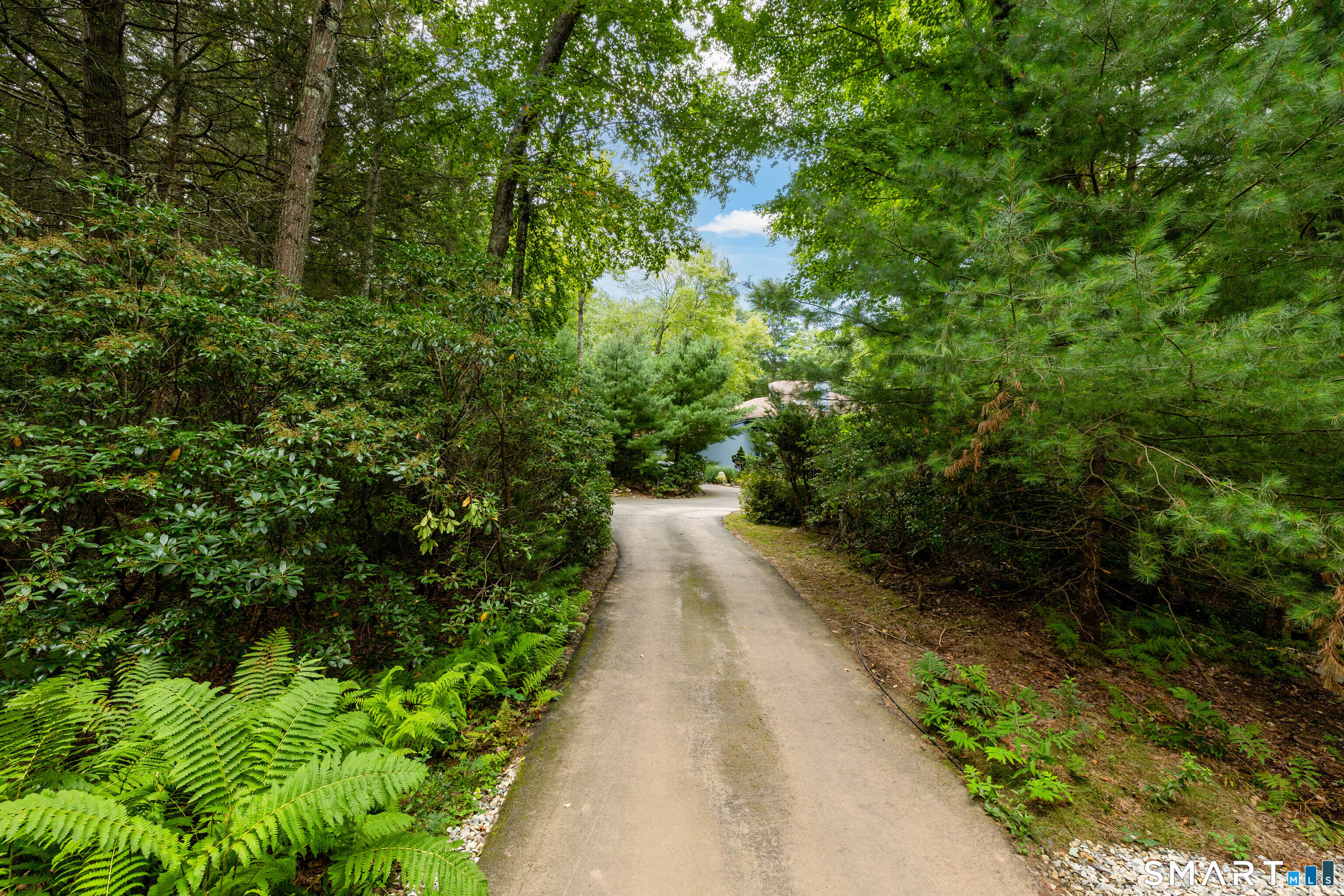 411 Cherry Brook Road Property Photo 1