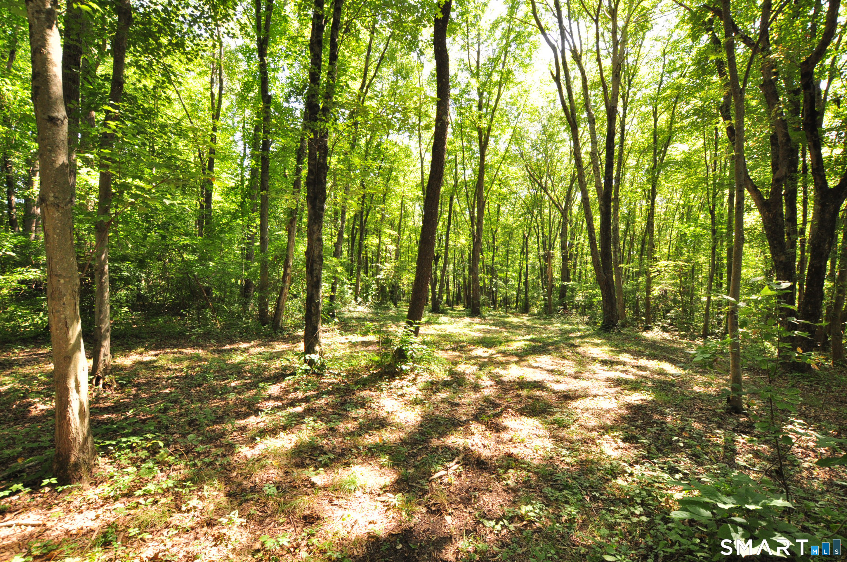 173 Mount Tobe Road Property Photo 2