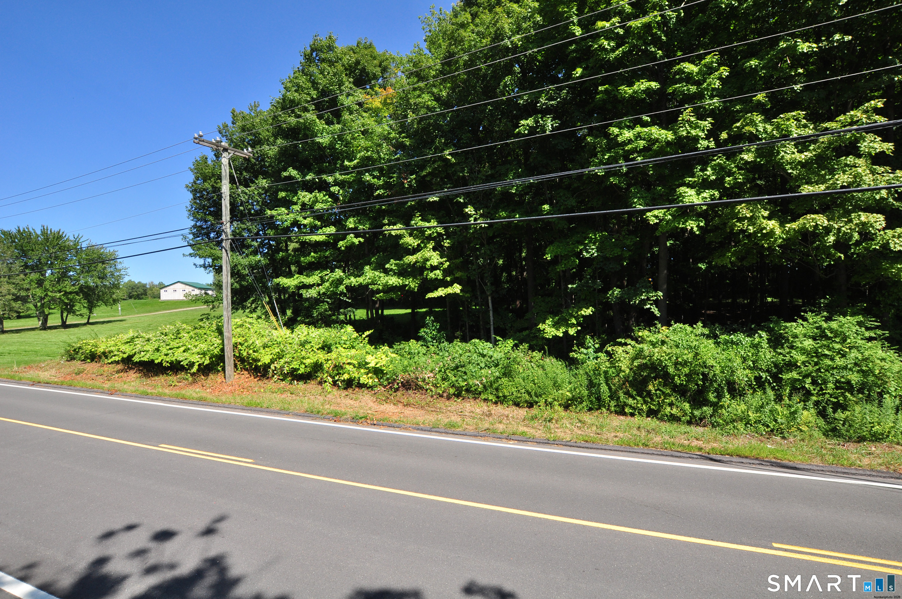 173 Mount Tobe Road Property Photo 11