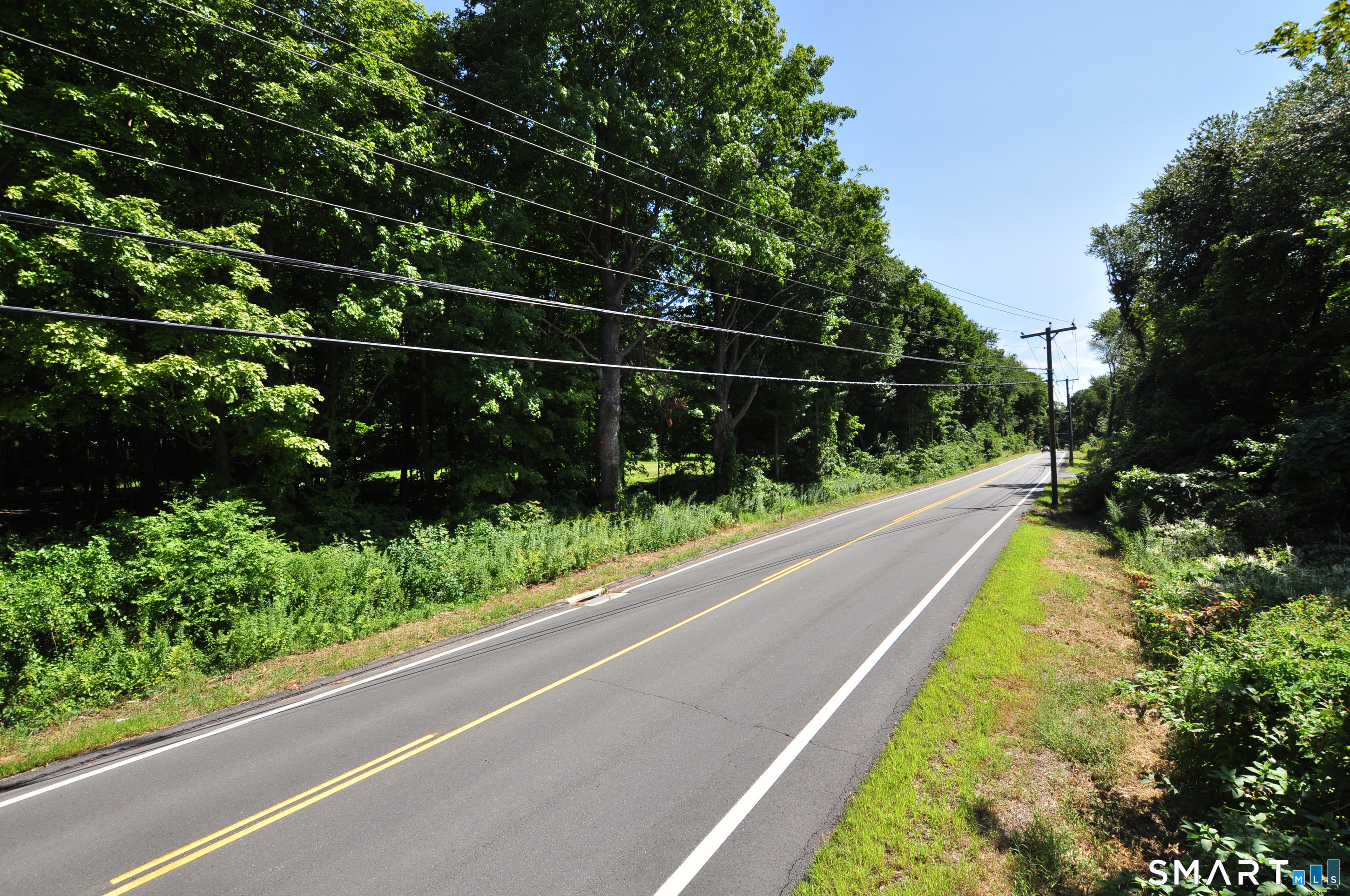 173 Mount Tobe Road Property Photo 12