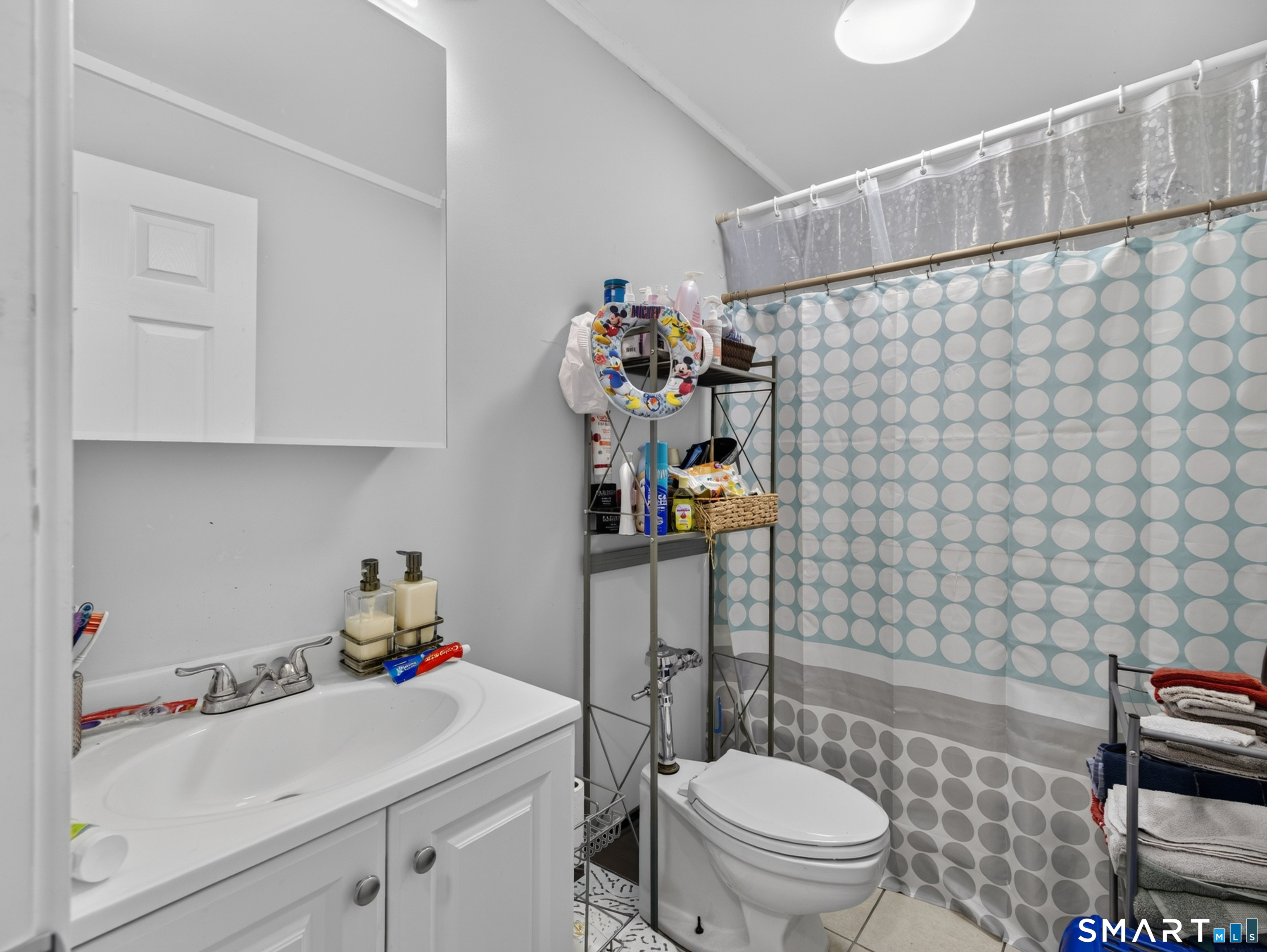 119 Lincoln Avenue Property Photo 19