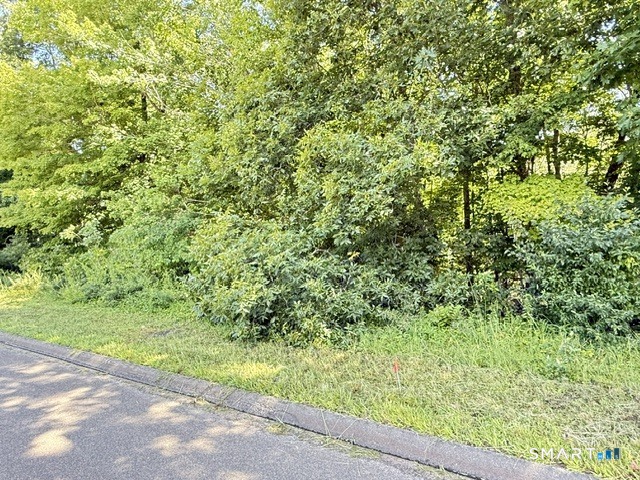 Beaver Dam Road Property Photo 1