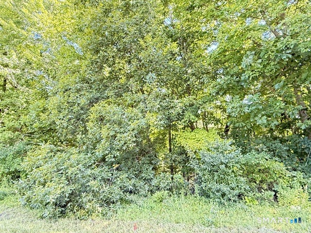 Beaver Dam Road Property Photo 2