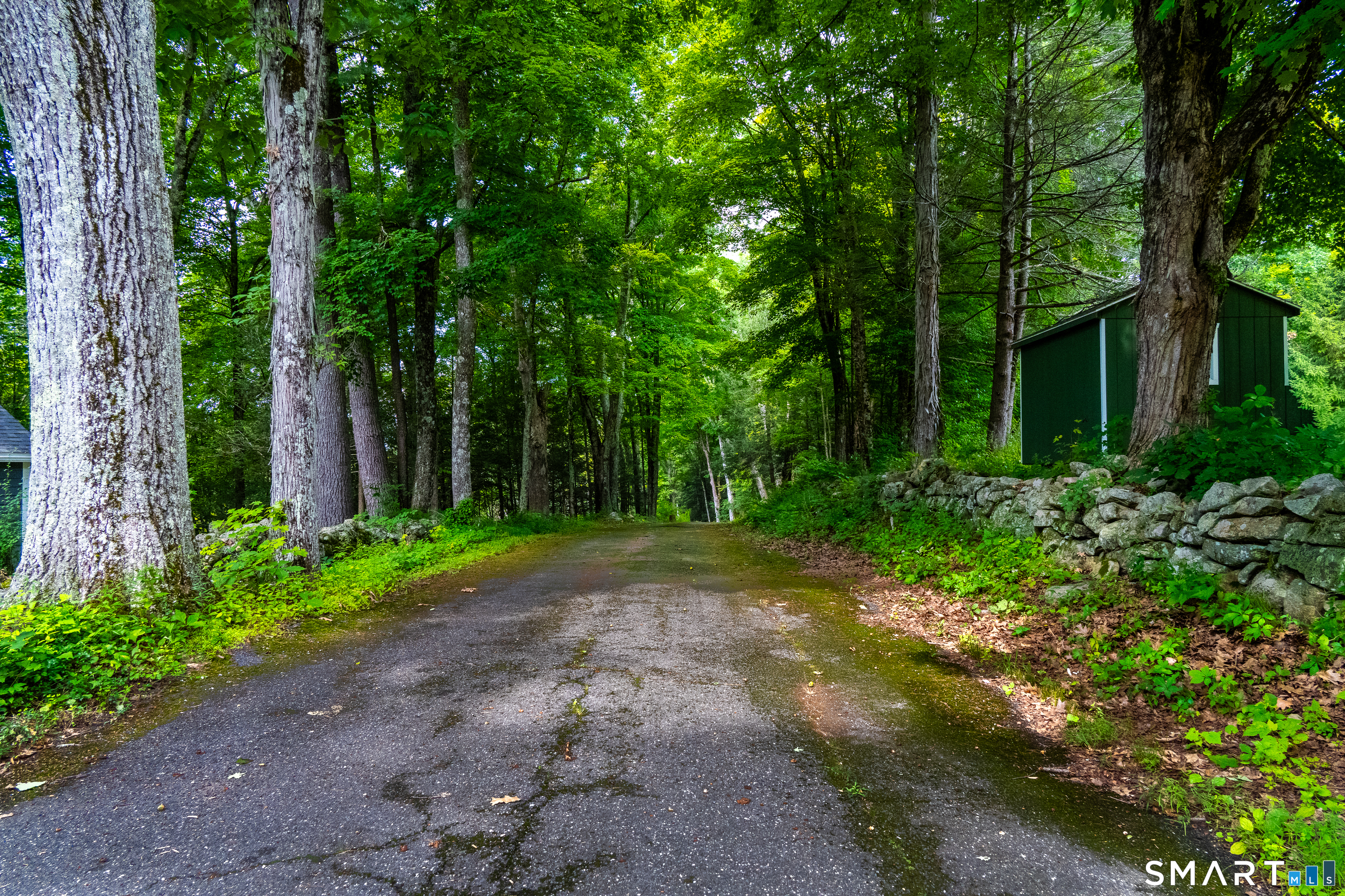 55 Essex Hill Road Property Photo 4