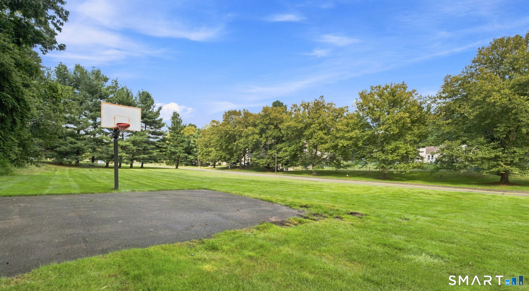 28 Larkspur 28 Drive Property Photo 8