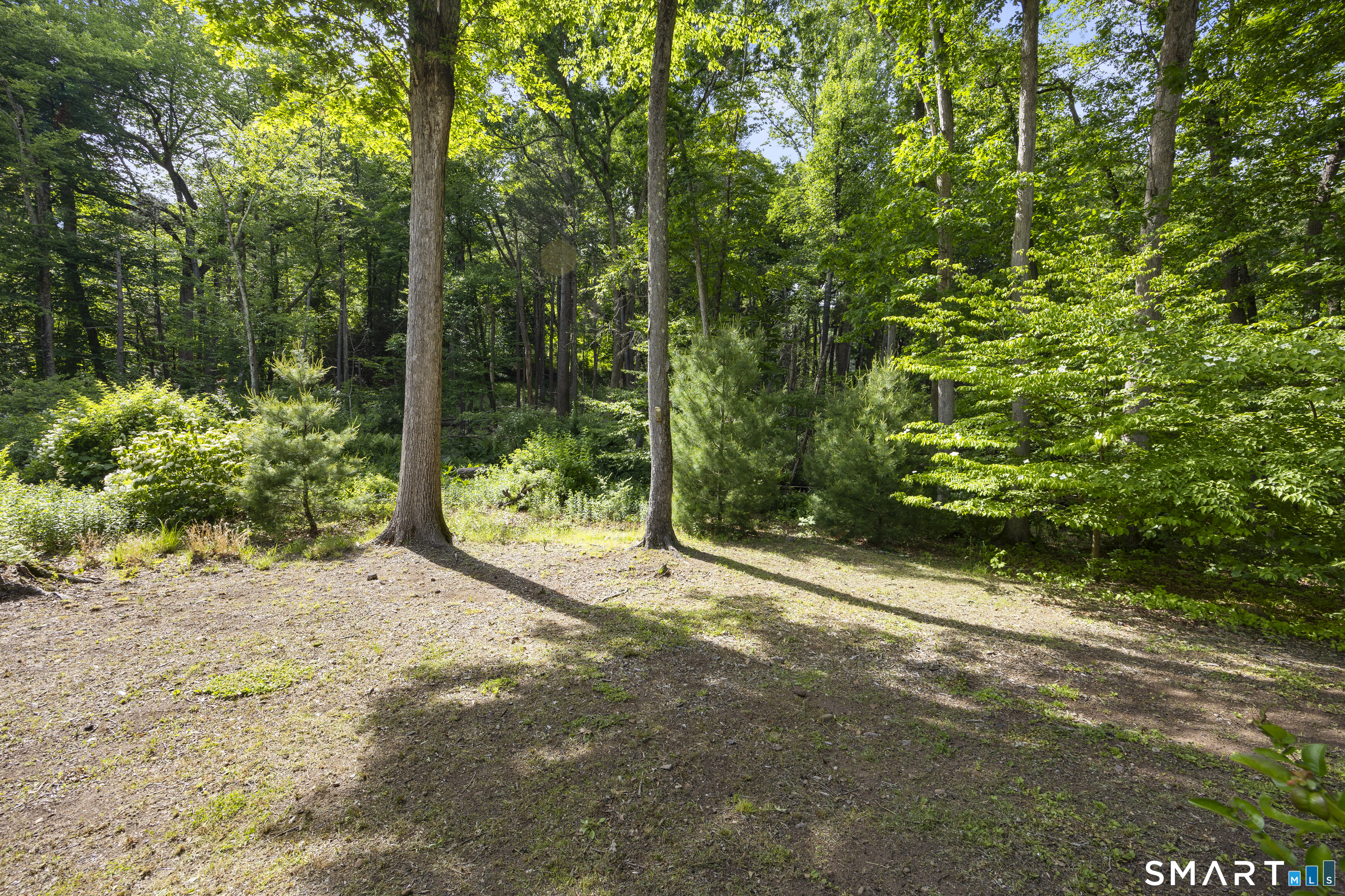 225 Timber Lane Property Photo 33