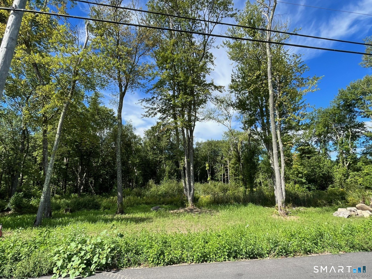 26 100 Acres Road Property Photo 3