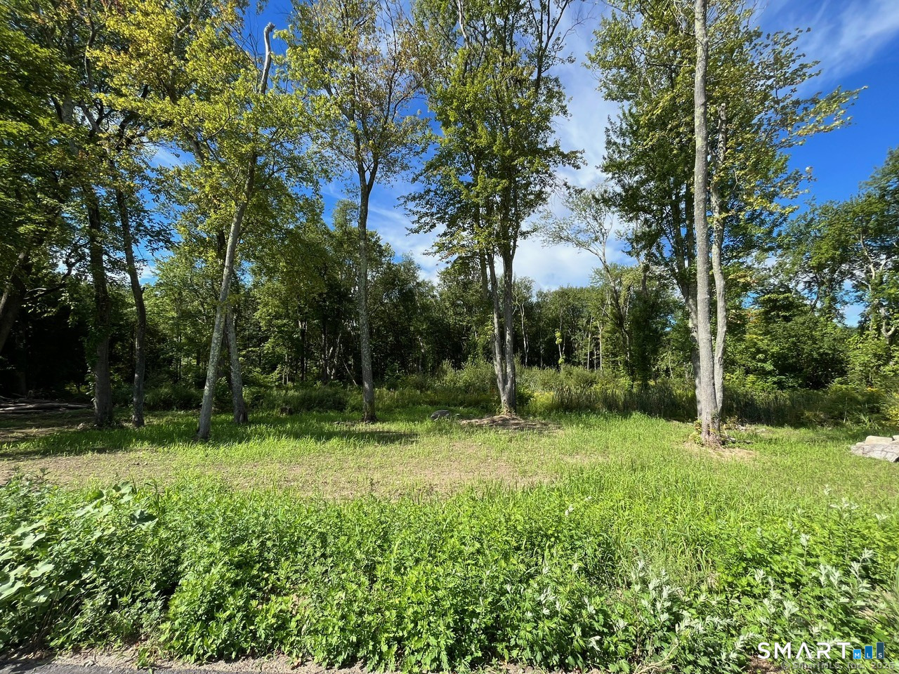 26 100 Acres Road Property Photo 4