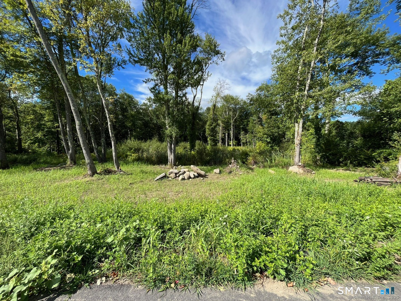 26 100 Acres Road Property Photo 5