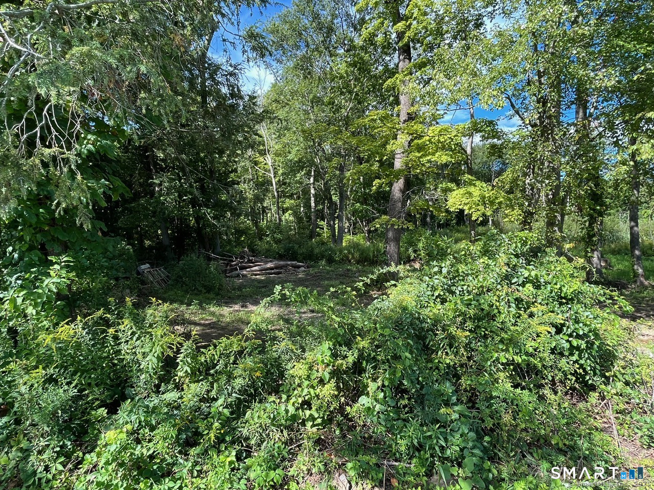 26 100 Acres Road Property Photo 6